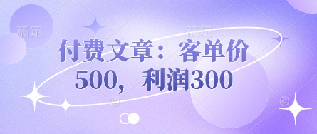 付费文章:客单价500,利润300-轻创资源网
