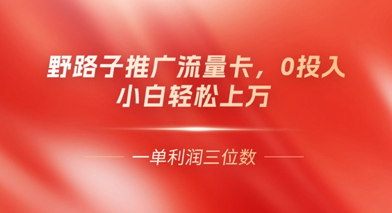 0门槛推广流量卡,一单收益上百,0投入,小白月入过W-轻创资源网