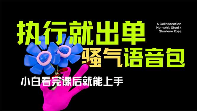 (14170期)爆火全网的开车导航骚气语音包,只要执行就出单,小白看完课程就能实操...-轻创资源网